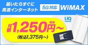 届いたらすぐに高速インターネット「5G対応」WiMAX 月額1,250円〜（税込1,375円〜）